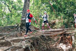 BIB: 
                            <button type="button" onclick="openModal(27719341)" class="btn btn-primary btn-sm float-right btn-popup" data-toggle="modal" data-target=".modal-high-quality">
                        <i class="fas fa-shopping-cart"></i> Add to Cart
                    </button>
                                            <button type="button" onclick="isThisMe(27719341, true)" class="btn btn-success btn-sm float-right btn-popup btn-isme hidden" data-toggle="tooltip" data-placement="bottom" title="นี่คือรูปของคุณใช่ไหม คลิกที่นี่เพื่อเอาเข้าอัลบั้ม">
                        <i class="fas fa-plus"></i> Add to album
                    </button>
                    <button type="button" onclick="isThisMe(27719341, false)" class="btn btn-warning btn-sm float-right btn-popup btn-isnotme hidden">
                        <i class="fas fa-ban"></i> Remove from album
                    </button>